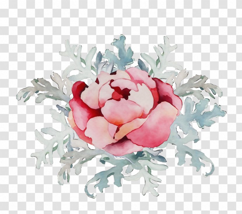Rose - Flower - Bouquet Cut Flowers Transparent PNG