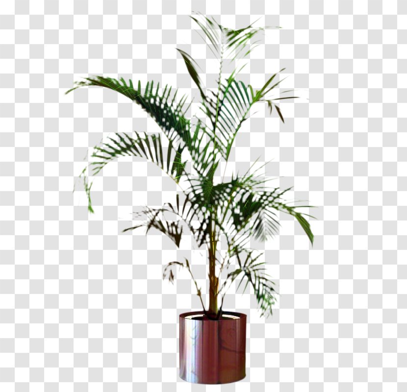 Palm Trees Flowerpot Houseplant Plant Stem Plants - Elaeis Transparent PNG