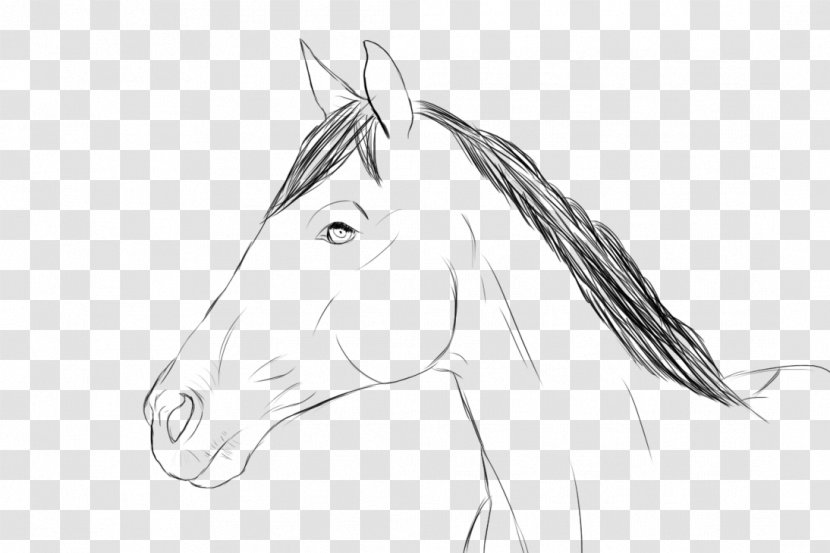 Halter Bridle Rein Mustang Sketch - Fictional Character - Head Horse Transparent PNG