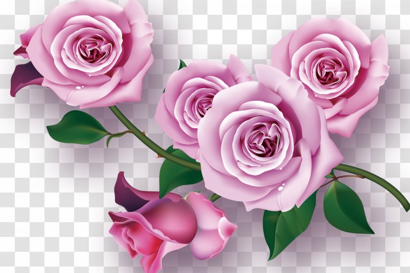 Garden Roses Flower Purple Floral Design - Rose Family - Flowers Transparent PNG