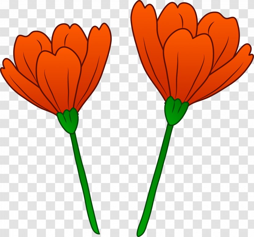 California Poppy Clip Art - Free Content - Flower Cliparts Transparent PNG