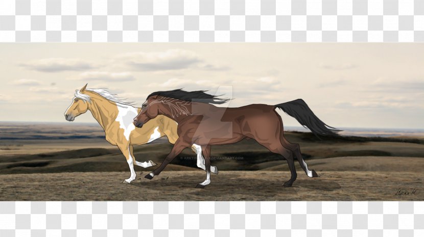 Stallion Mustang Breed Warmblood Horse Tack - Color - Feuer Transparent PNG