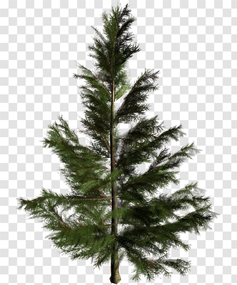 Artificial Christmas Tree Noble Fir Lights - Spruce Transparent PNG
