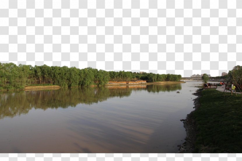 Green - Lake - The Landscape Of River Bank Transparent PNG