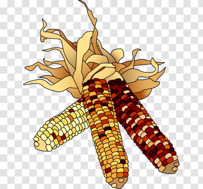 November Free Content Clip Art - Thanksgiving - Fall Corn Cliparts Transparent PNG