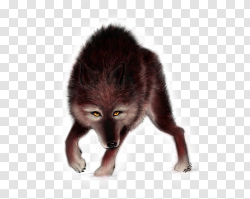 Red Fox Fur Fauna Snout - Mammal Transparent PNG