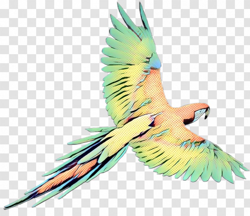 Bird Macaw Beak Parrot Parakeet - Easter - Tail Transparent PNG