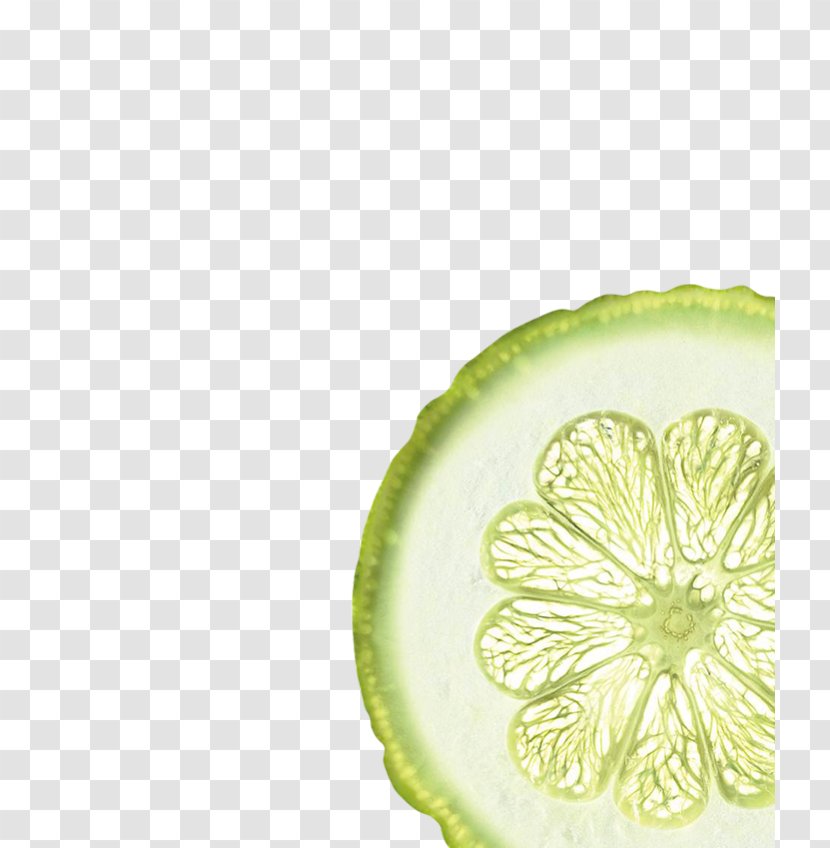 Lemon-lime Drink Key Lime Tableware Transparent PNG
