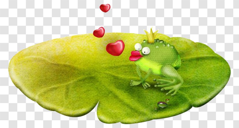 Frog PhotoScape Clip Art - Toad - Rana Transparent PNG
