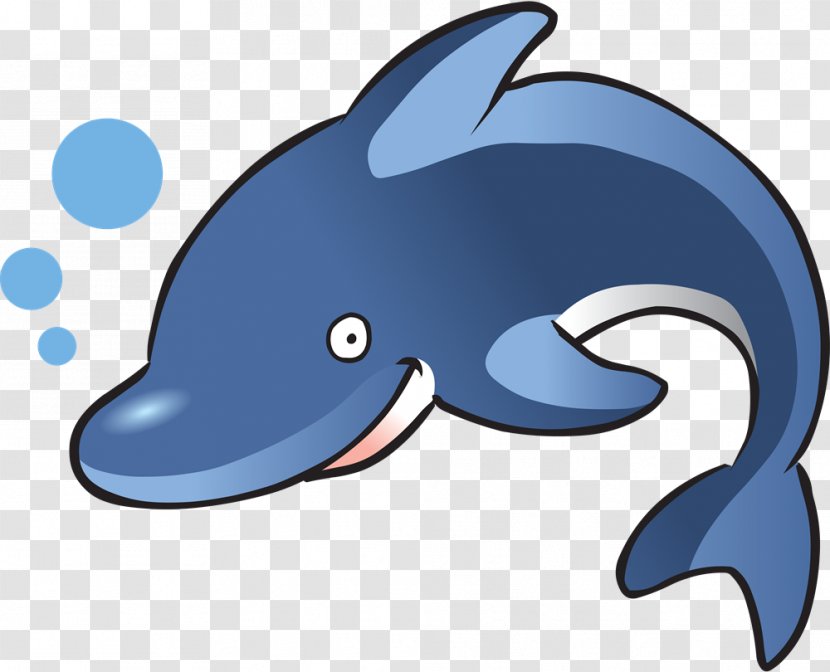 Clip Art Common Bottlenose Dolphin Image Free Content - Fin Transparent PNG