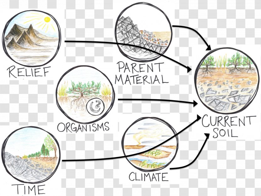 Terrain Pedogenesis Parent Material Soil Natural Environment - Forming Transparent PNG