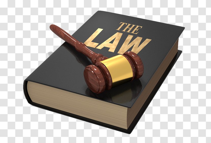 Criminal Defense Lawyer Legal Aid Law Firm - Personal Injury Transparent PNG