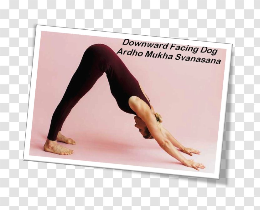 Yoga Dog Adho Mukha śvānāsana Shoulder Exercise - Frame - Dogs Transparent PNG