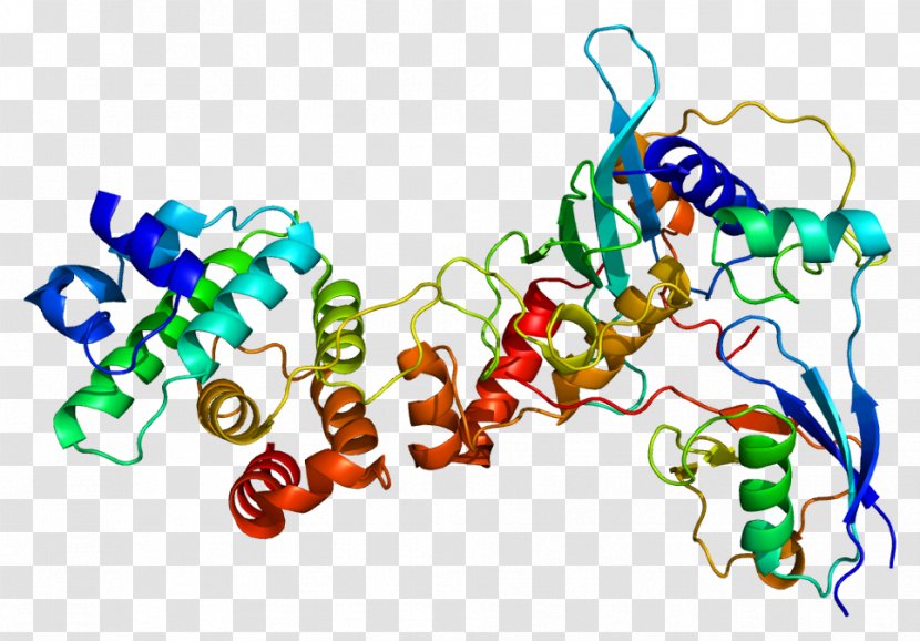 RANGAP1 Gene GTPase-activating Protein - Flower - Quebe Sisters Band Transparent PNG