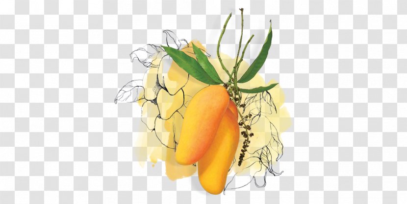 Mango Cartoon - Papaya - Vegan Nutrition Natural Foods Transparent PNG