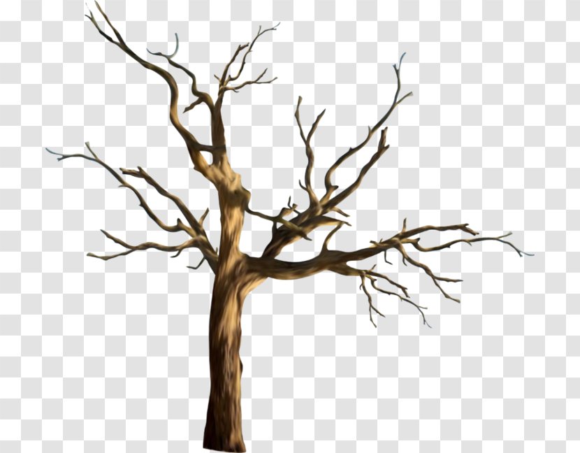 Image Download Clip Art Vector Graphics - Trunk - Tree Branches Transparent PNG