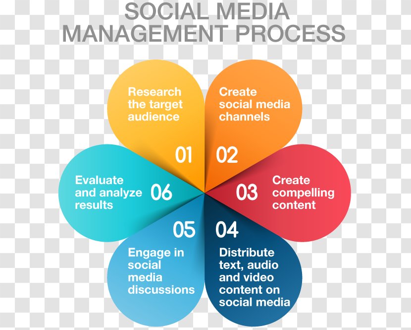 Social Media Marketing Business Process Management - Infographic Transparent PNG