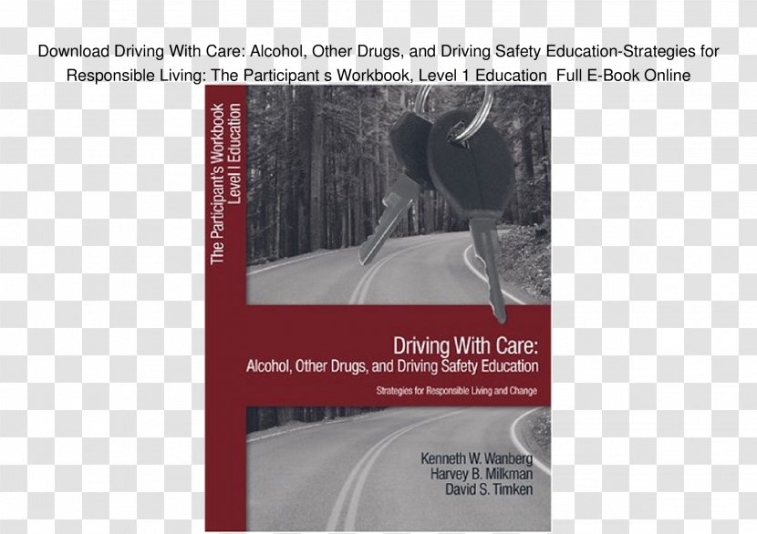 Drug Driving Safety Alcohol Education - Brand Transparent PNG