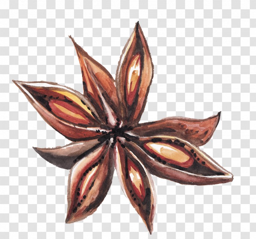 Red Cooking Star Anise Spice Zefir - Plant - Hand-painted Octagonal Transparent PNG