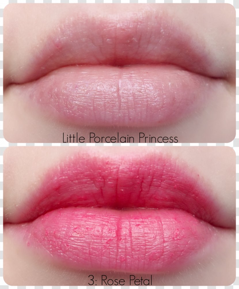 Lip Stain Lipstick Gloss Rose - Balm - Tint Transparent PNG