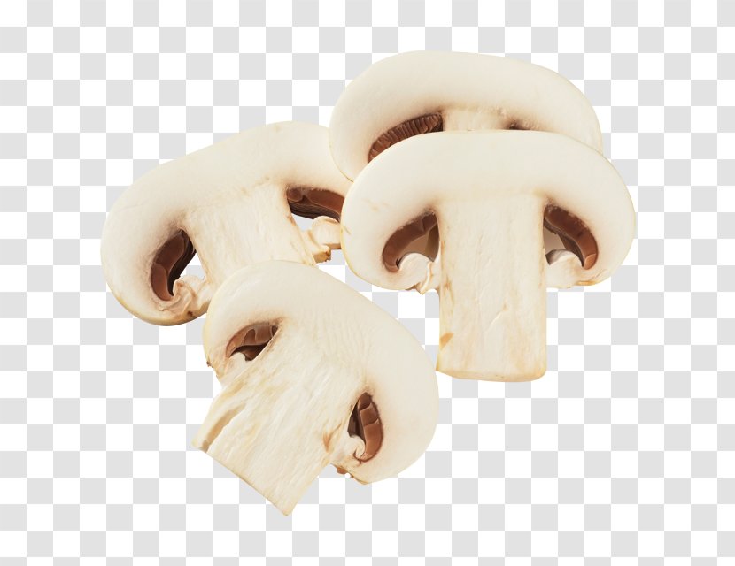 Edible Mushroom Oyster Common Fungus - Food Transparent PNG