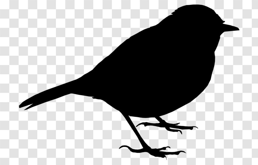 House Sparrow Silhouette Bird Image - Crowlike - Songbird Transparent PNG