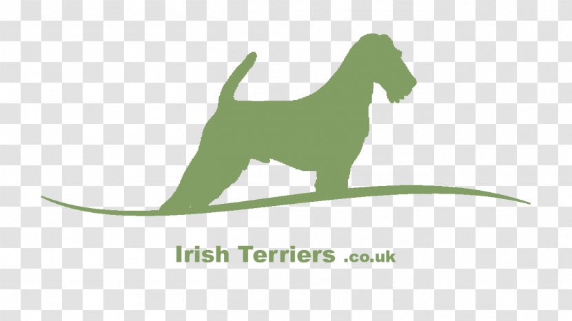 Dog Breed Irish Terrier Puppy Transparent PNG