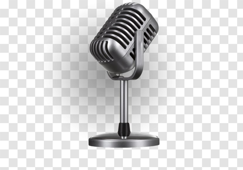 Microphone Stock Photography Royalty-free - Flower Transparent PNG