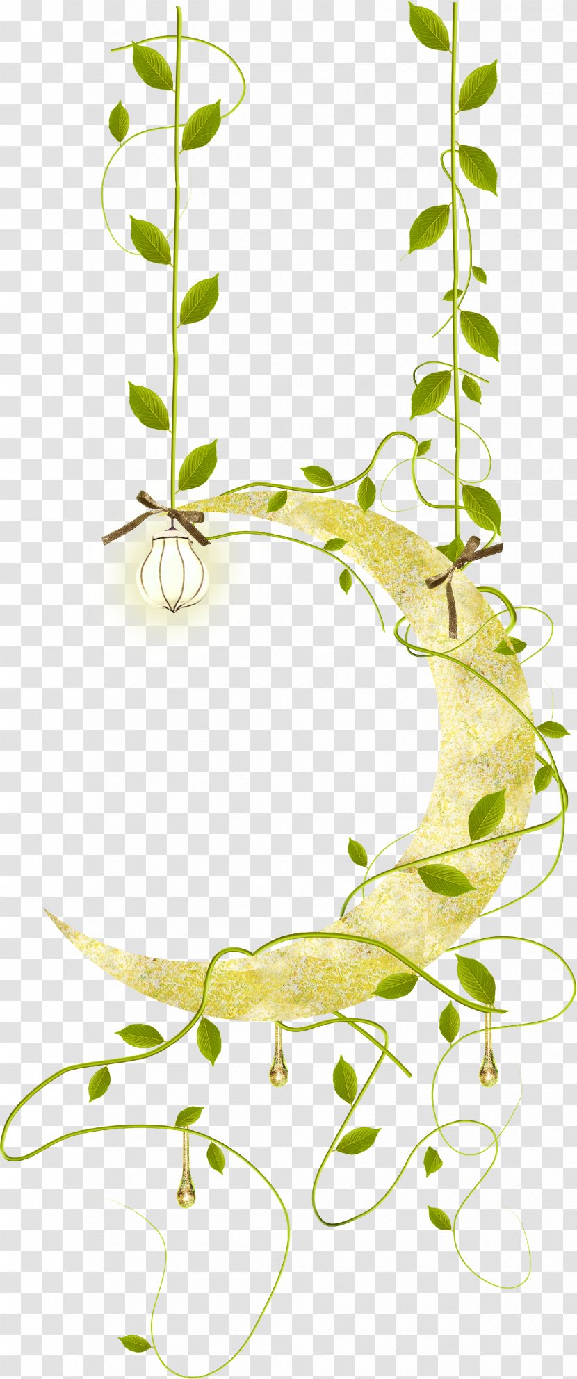 Twig Leaf Plant Stem Product Health - Alternative Services Transparent PNG