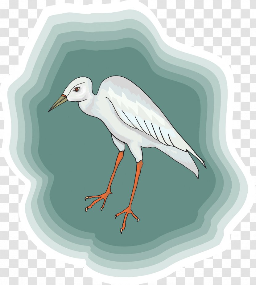 Bird Heron White Stork Crane - Fauna Transparent PNG