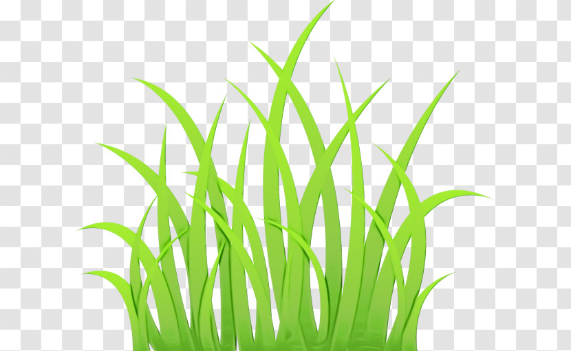 Lawn Lawn Costume Transparent PNG