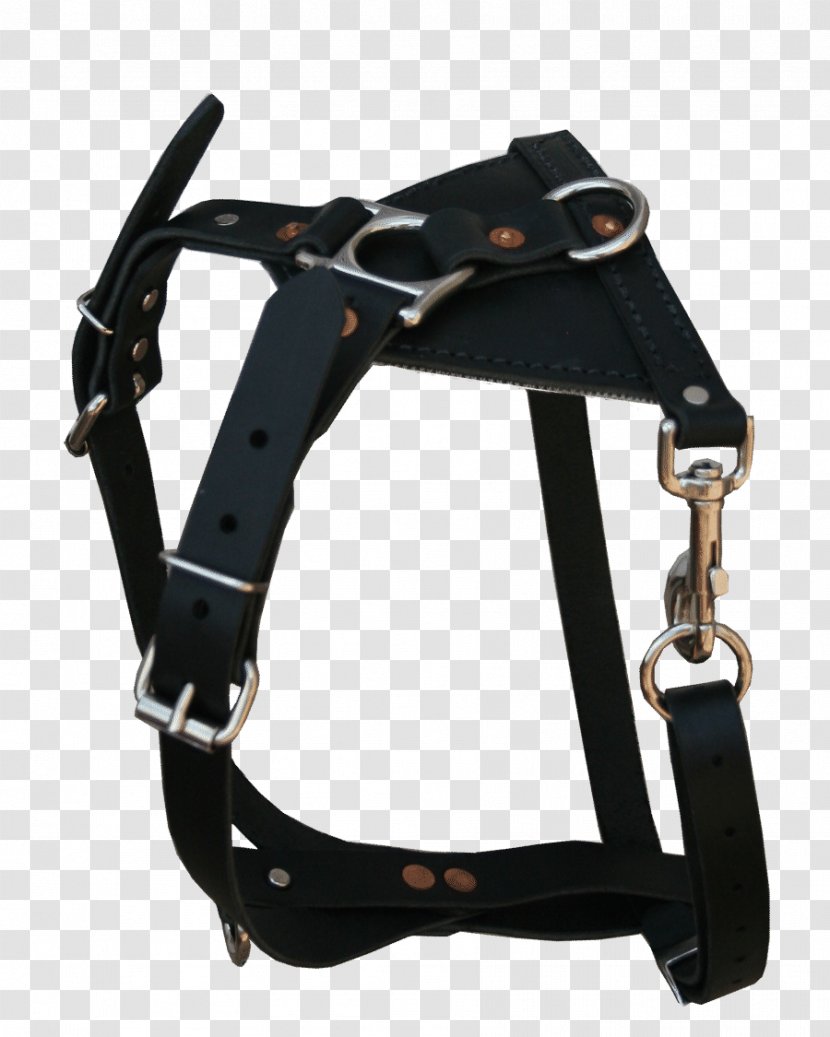 Belt Transparent PNG