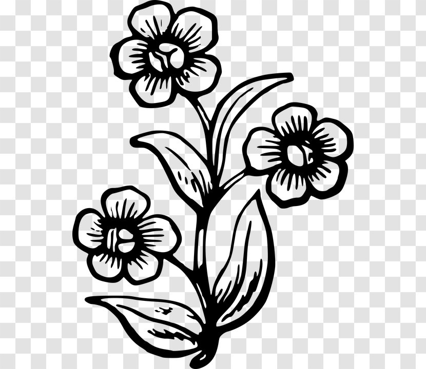 Drawing Stencil Clip Art Image Wildflower - Painting - Pens Vector Transparent PNG
