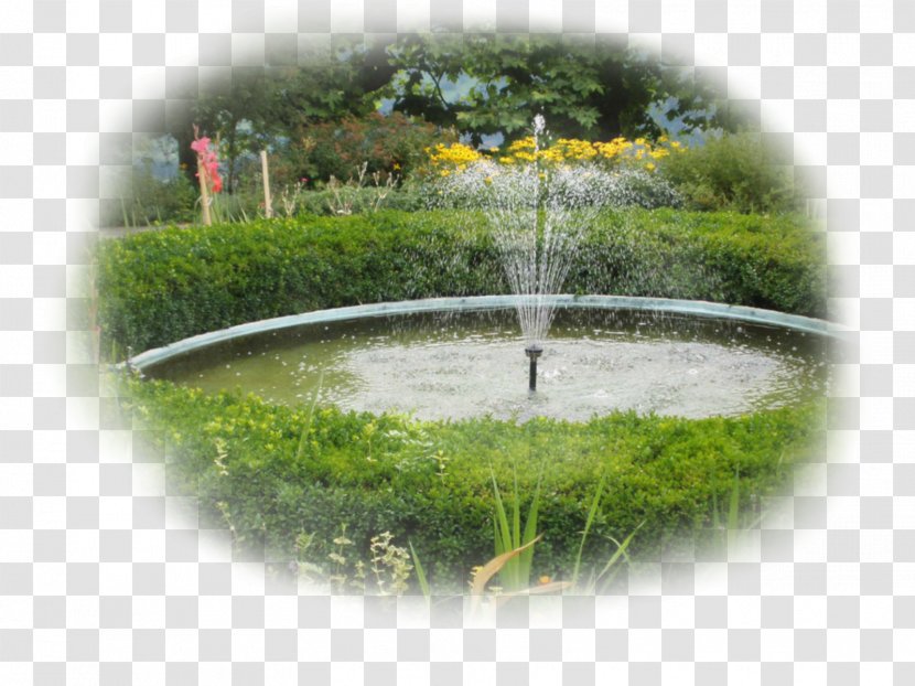 Water Resources Pond Feature Lawn - Garden Elements Transparent PNG