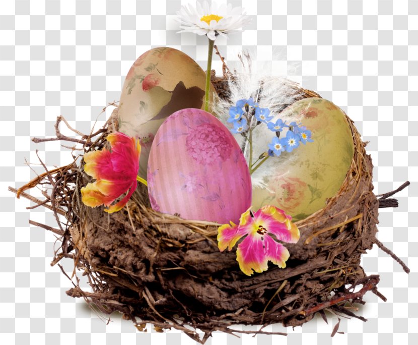 Bird Nest Image Egg - Twig - Happy Easter Images Designing Transparent PNG
