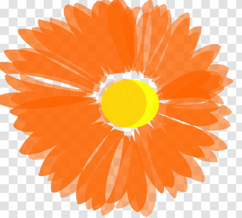 Orange Flower Clip Art - Daisy Family - FLOWER PATTERN Transparent PNG