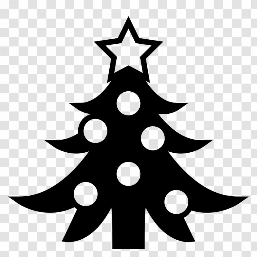 Christmas Tree - Eve Pine Family Transparent PNG