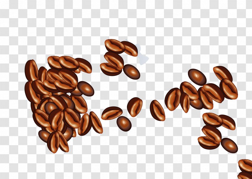 Coffee Cafe Bean - Cup - Beans Transparent PNG