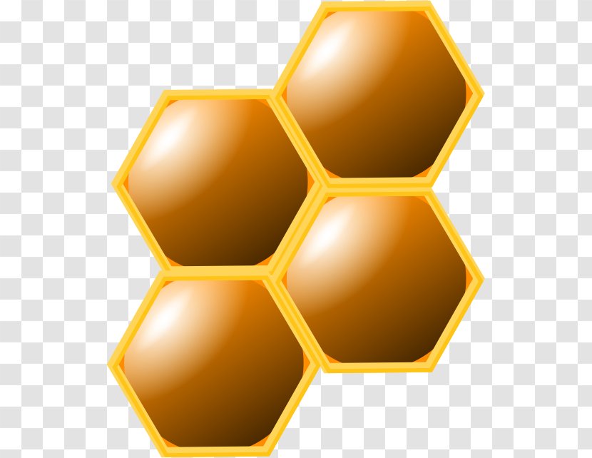 Western Honey Bee Honeycomb Clip Art Image - Pollinator Transparent PNG