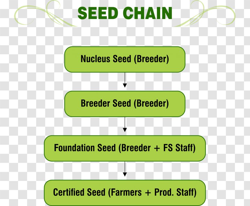 Seed Zlock System Supply Chain Zecurion - Industry Transparent PNG