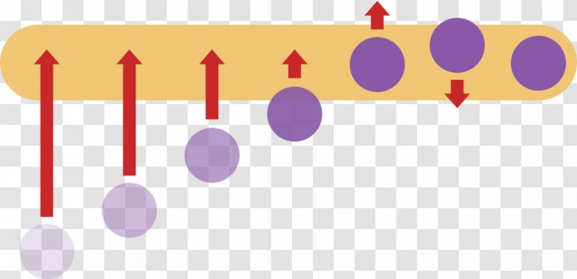 Implementation Clip Art - Chemistry - Hoa Van Transparent PNG