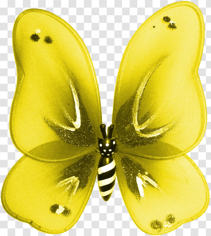 Butterfly Insect De Oruga A Mariposa Caterpillar Moth Transparent PNG