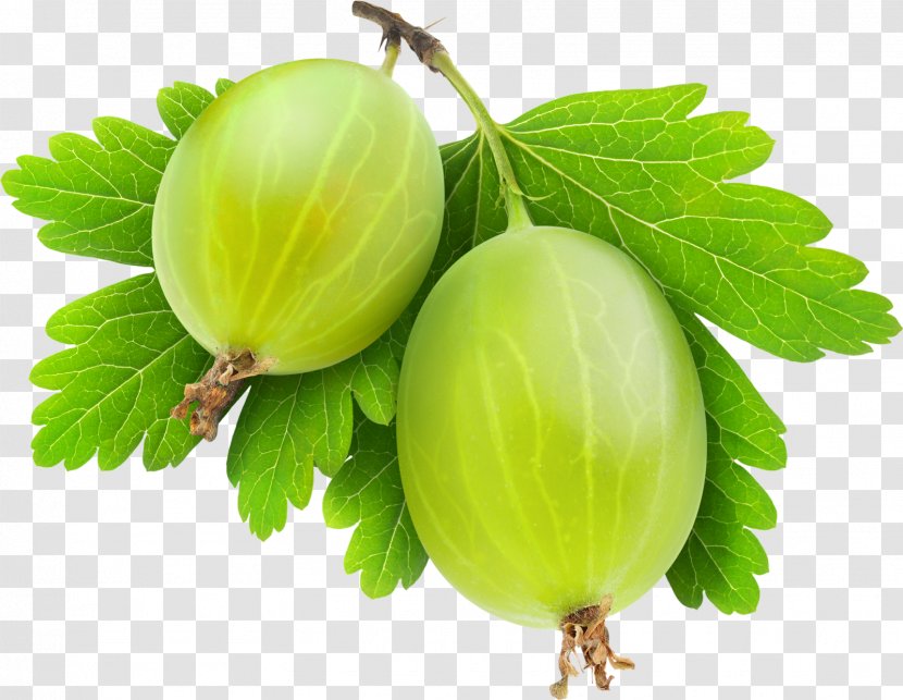 Gooseberry Image Food Stock Photography - Natural Foods - Cape Transparent PNG