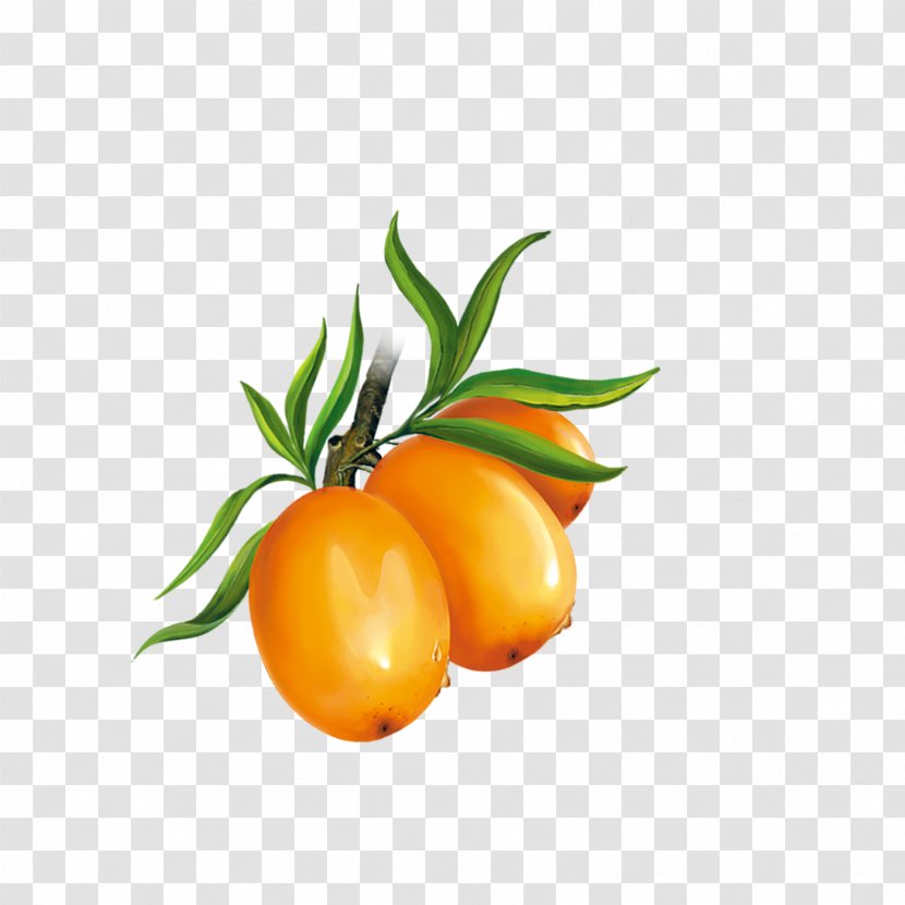 Cherry Tomato Clementine Mandarin Orange Tangerine - Peppers - Tomatoes Transparent PNG