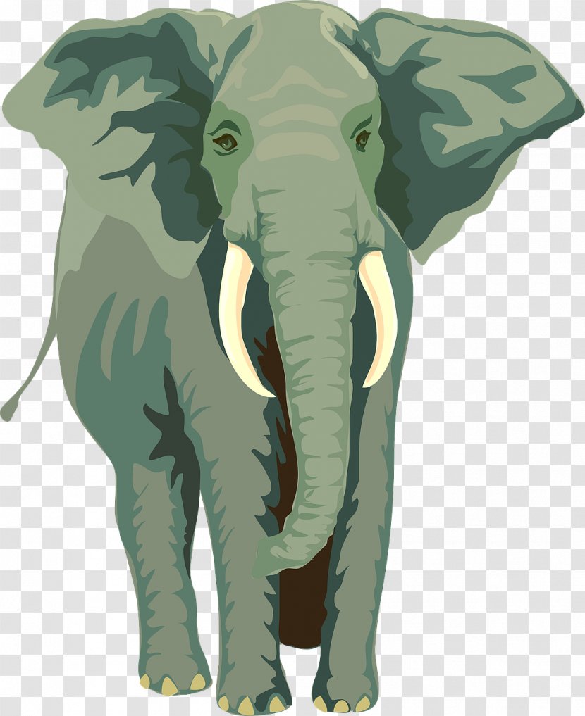 Elephant Rope Chain Herd Animal - Indian - Elephants Transparent PNG