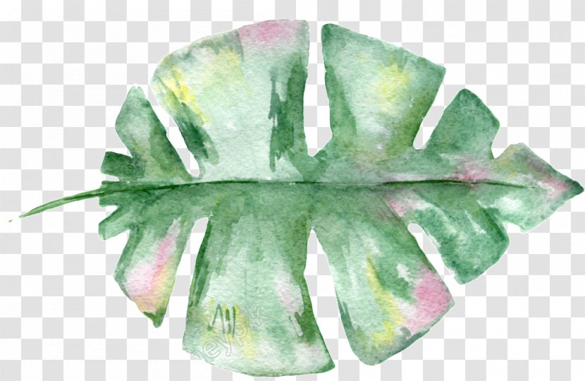Watercolor: Flowers Watercolor Painting Image Art - Canvas Transparent PNG