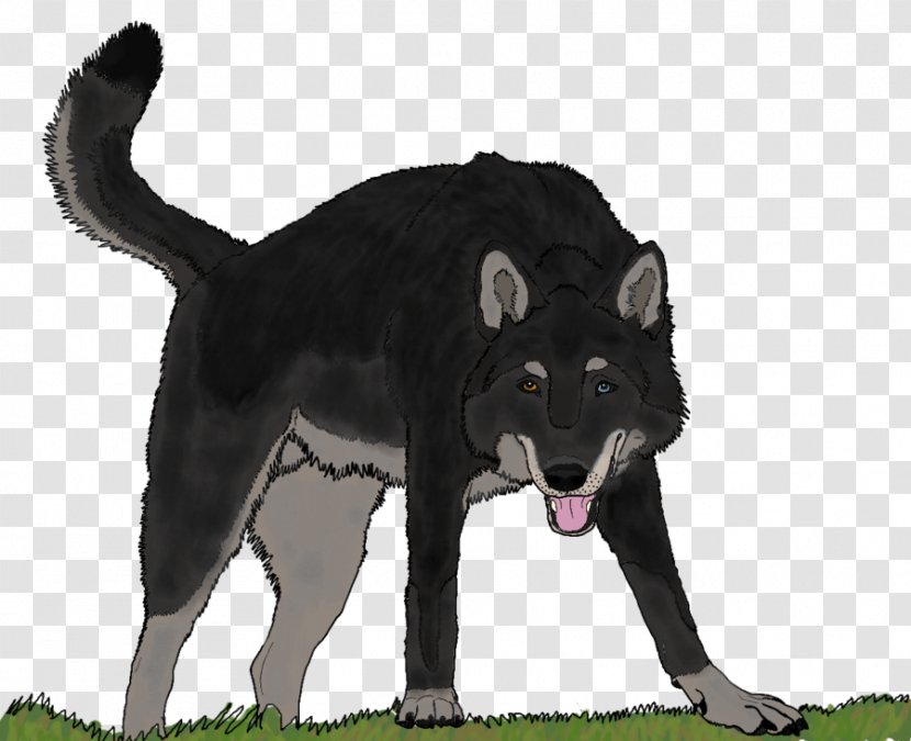 Norwegian Elkhound Wolfdog Dog Breed Hyena Fur - Gray Wolf - Gunner Transparent PNG