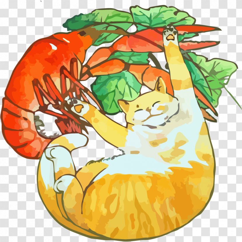 Cat Pumpkin Illustration - Hand Drawn With Lobster Transparent PNG