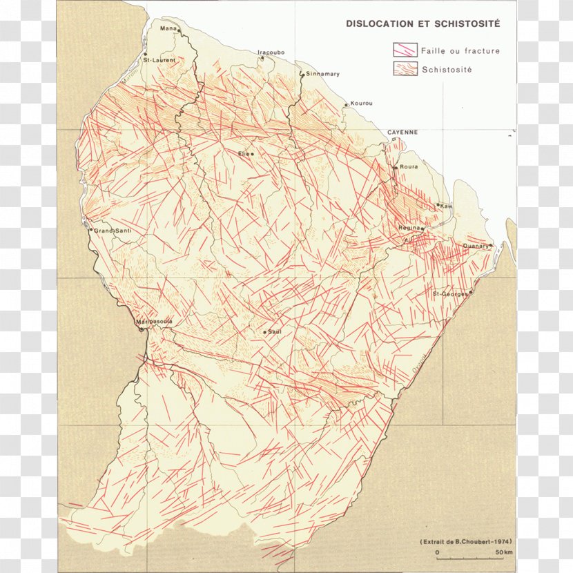 Map Tuberculosis - Design Transparent PNG