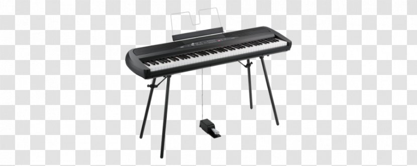 Digital Piano Electronic Keyboard Stage Korg - Frame Transparent PNG